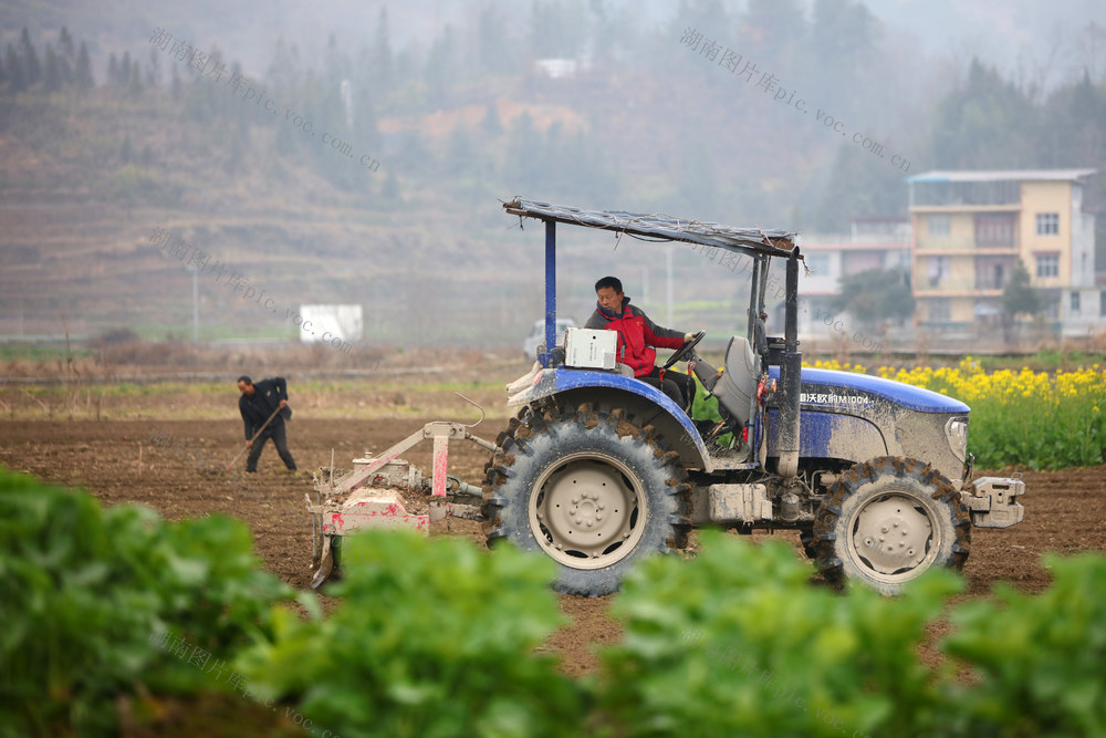 湖南，龙山，人勤，春早，耕作，备耕，农时，农业，基础