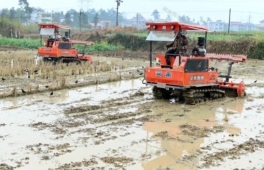春耕生产 耕田机 农机 犁田 农业 农民 粮田 春耕备耕 秧田 水稻 人勤春早  农村 种粮