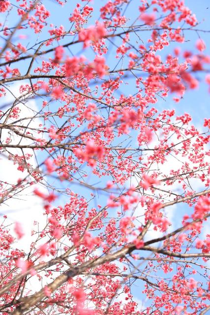 一定要爱着点什么，恰似草木对光阴的钟情。