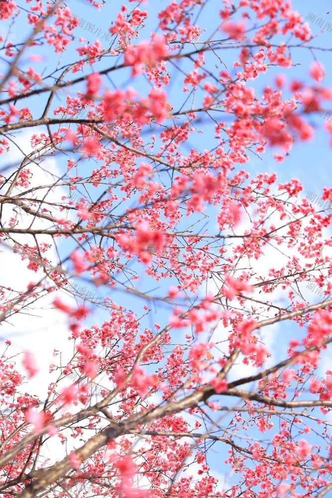 一定要爱着点什么，恰似草木对光阴的钟情。