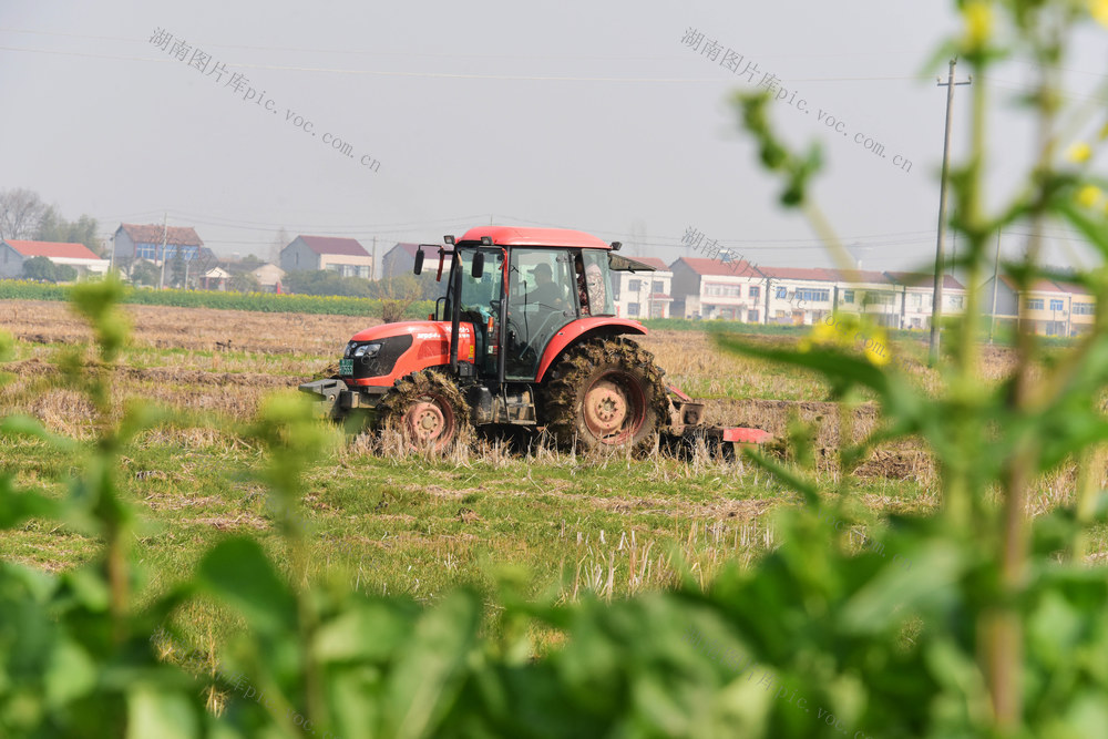春耕生产  早稻育秧  秧田耕整  机械化  旋耕机