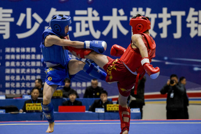 武术                                                                  散打