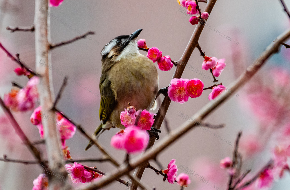 生态  城市  怀化