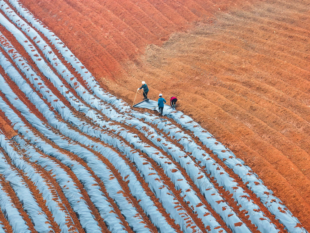 三农
春耕
道县