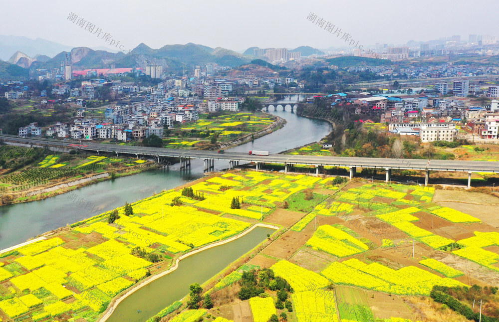 嘉禾： 油菜花开乡村美