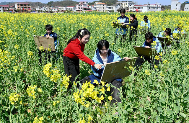 写生 美术 田间 油菜地 春天 大自然 学生 户外 社团 春光 教育 
 花