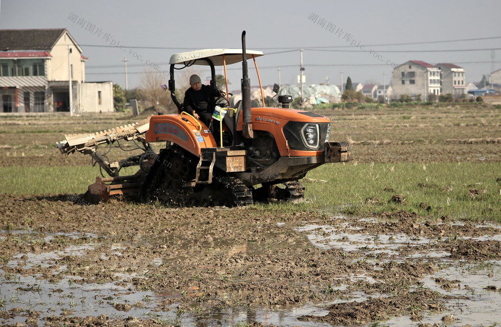 种粮口夫妻囗忙囗春耕