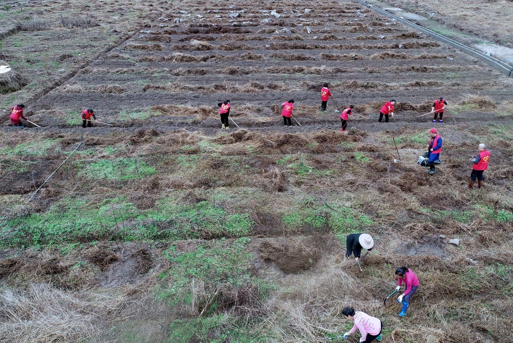 湖南桂东 村民 耕 春天