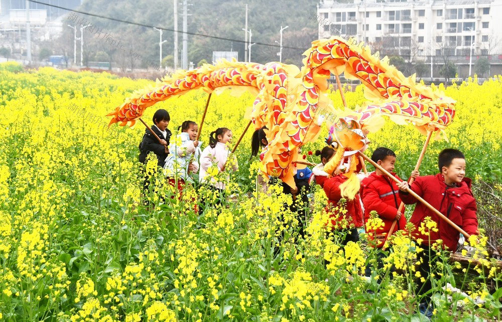  萌娃舞龙   乐享春日