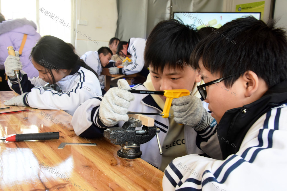 教育改革  义务教育  社会知识  课堂实践  操作能力