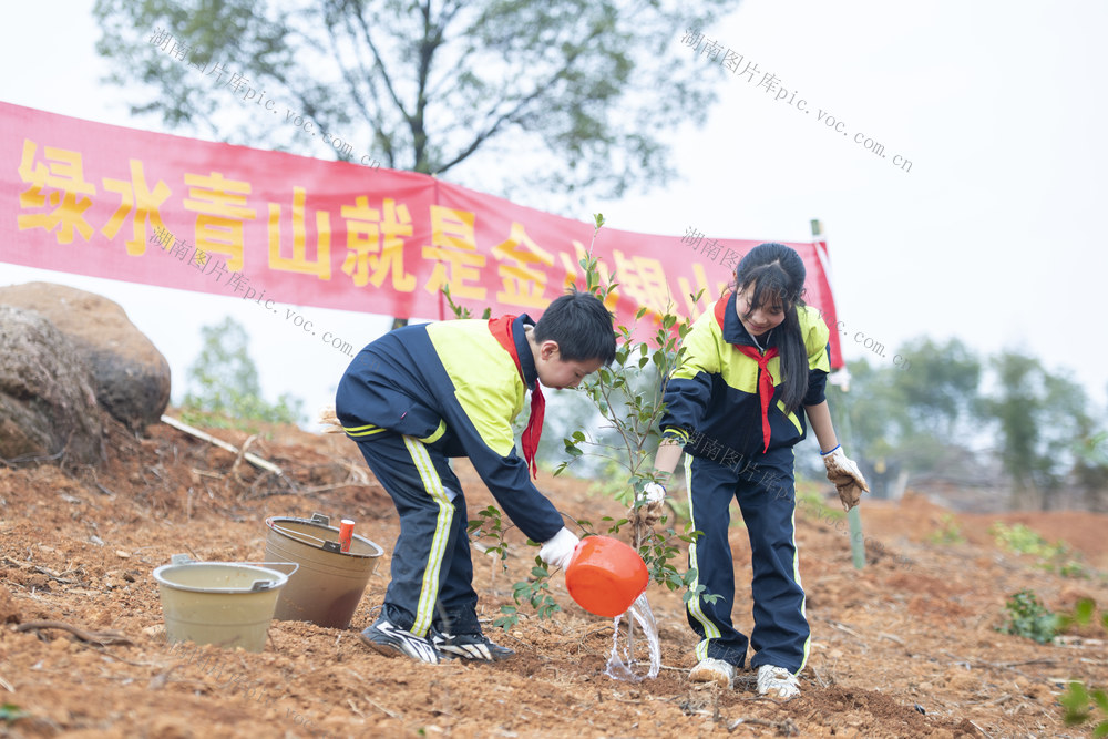义务 植树 生态 环境 美化 家园