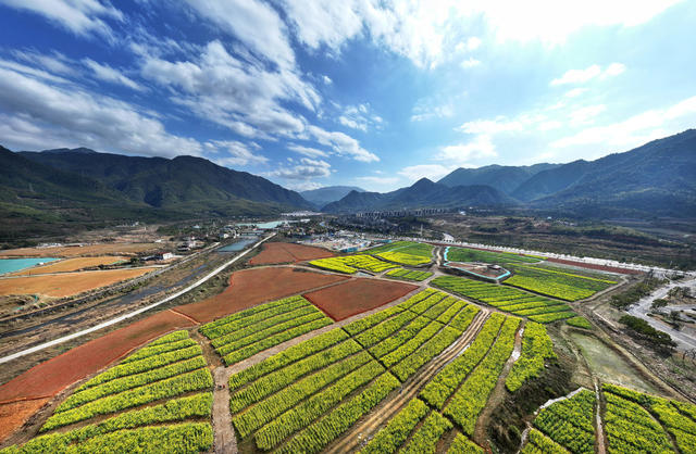 湖南 郴州 城东新区  苏仙区  郴州长卷  欢乐世界  油菜花  东湖片区  市民  打卡  拍照  春色