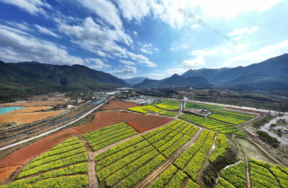 湖南 郴州 城东新区  苏仙区  郴州长卷  欢乐世界  油菜花  东湖片区  市民  打卡  拍照  春色