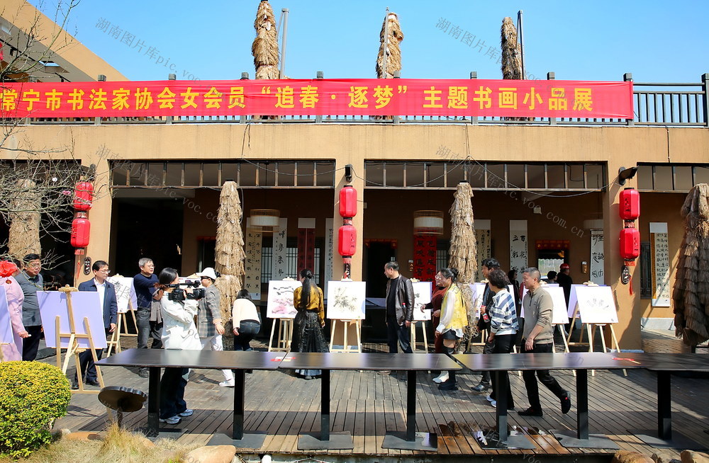 常宁  女性  书画  展风彩