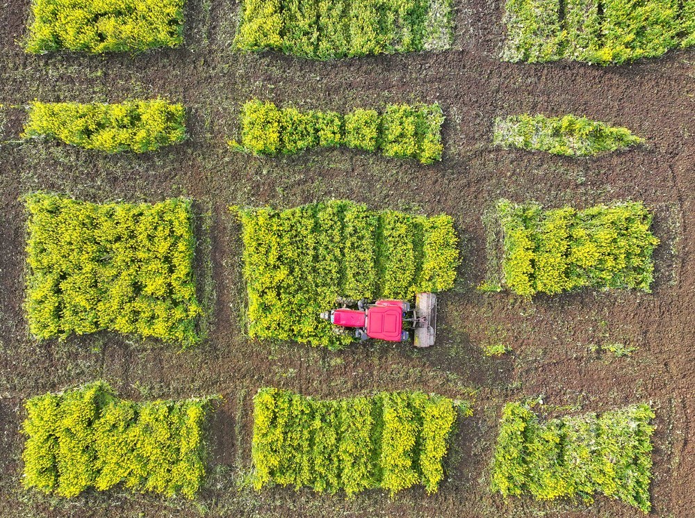 油花
油菜花
春耕
道县