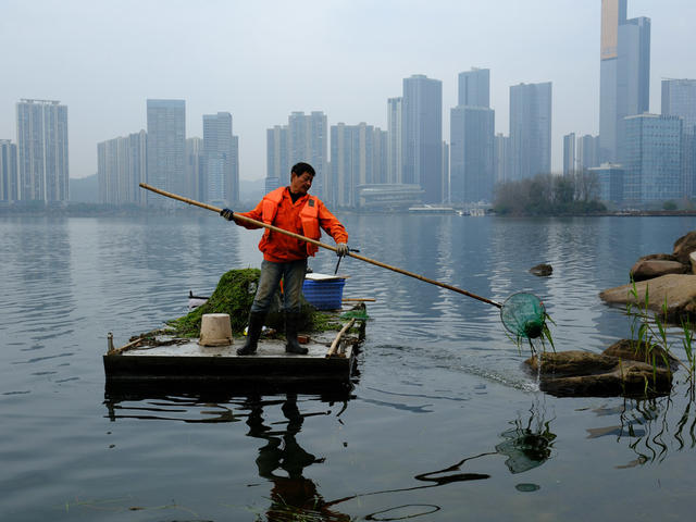 打捞水草，护环境，梅溪湖公园