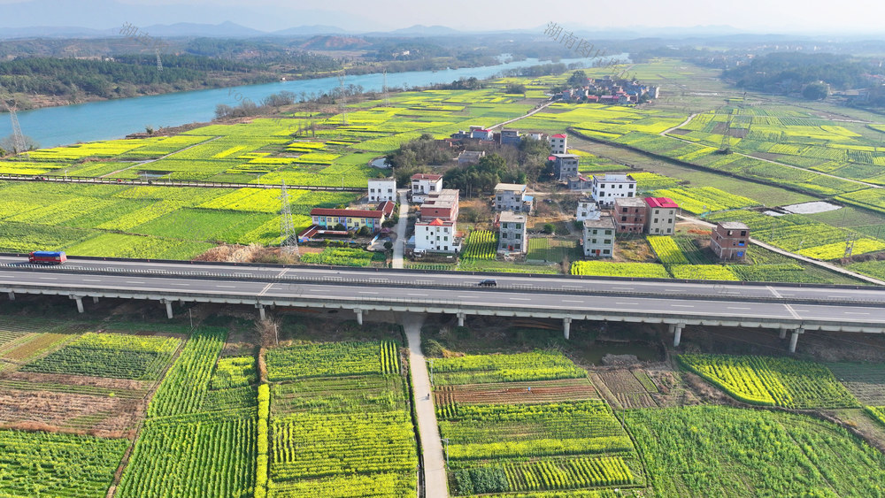 乡村 美景  春色
