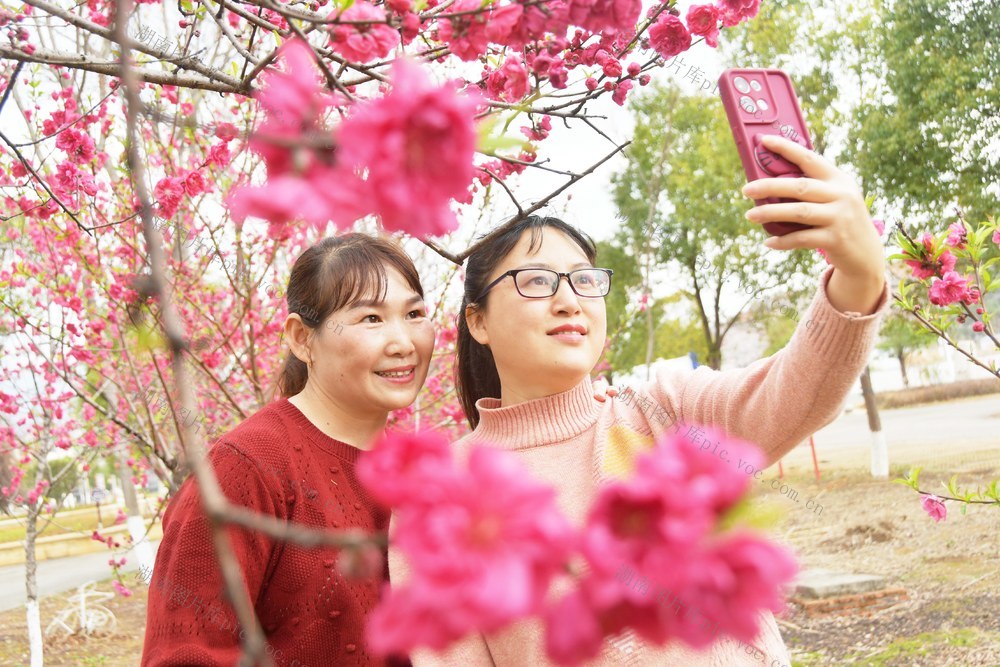 踏青赏花  乐享春光