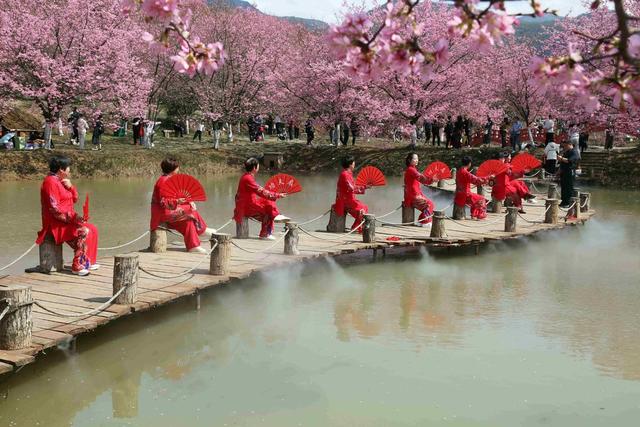 樱花园  太极表演  受好评