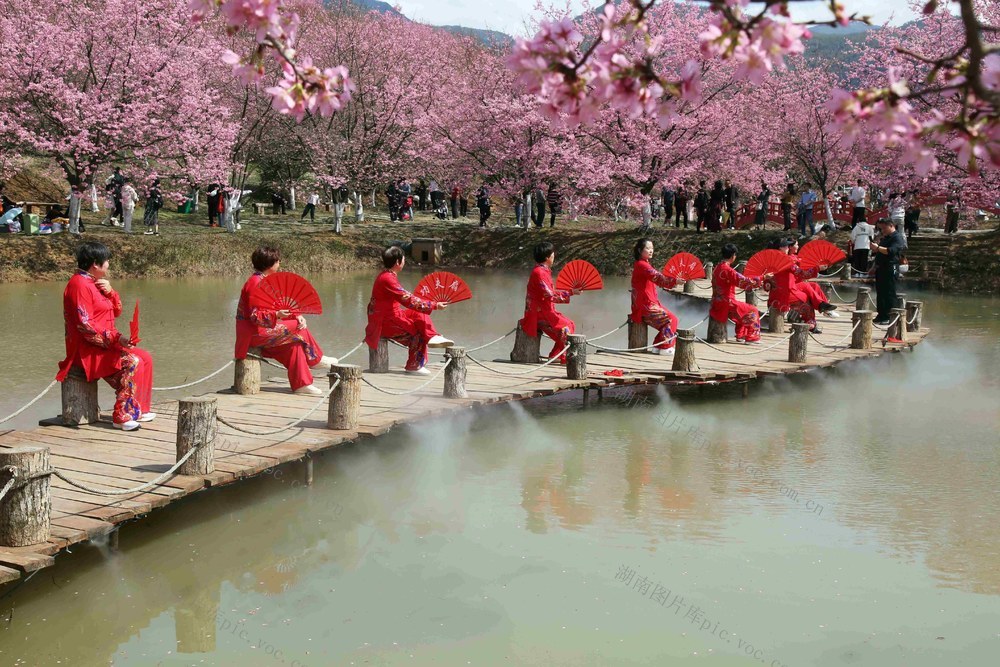 樱花园  太极表演  受好评
