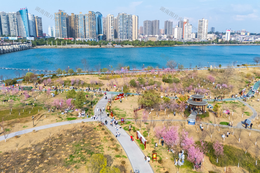 乐享春光 民生福祉 城市公园 绿色空间 亲近自然