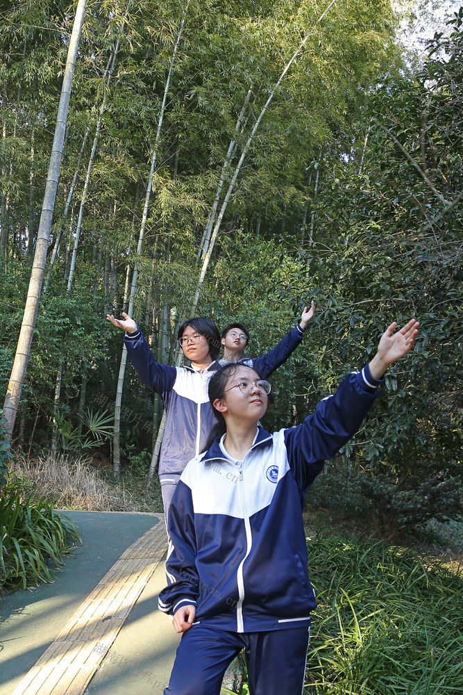 高中生 周末双休 双减 教育公平 课堂效率 创新力