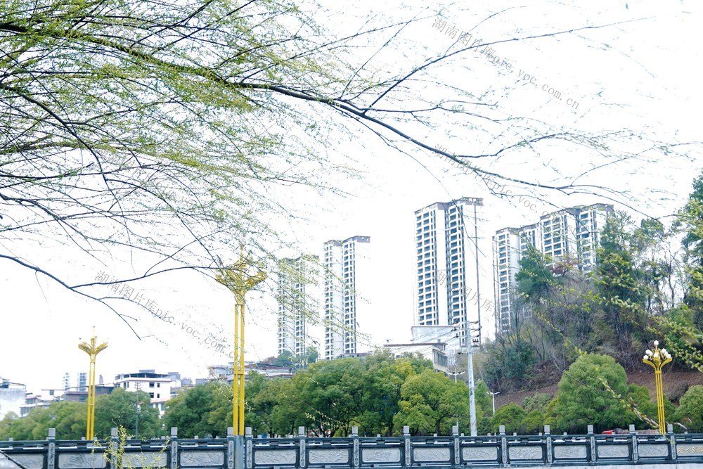 3月4日，郴州市临武县武水河畔烟雨蒙蒙，沉睡的柳枝舒展身肢，睁开惺忪的眼睛，摆动千丝万缕的款款春意情长，如眉、像月、似音符，诉说对春和景明的眷恋……把乍暖还寒的心事，随风送彼岸。