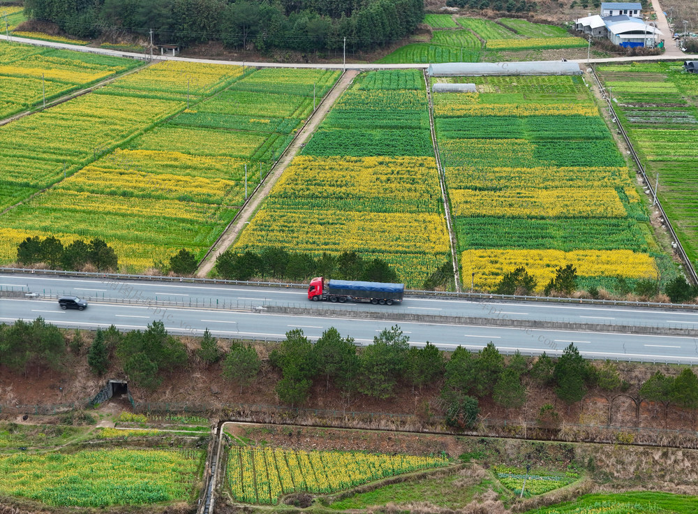 春天、公路、田野、油菜花、田园