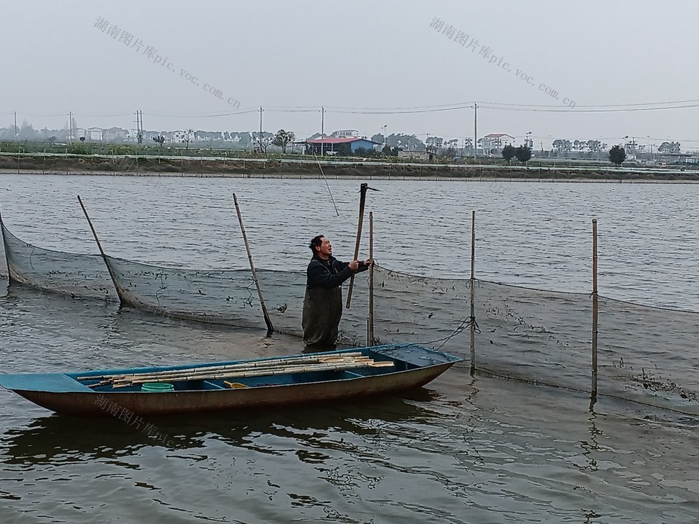 “蟹虾小镇”春季特色水产备耕忙，全镇蟹虾养殖面积达3.58万亩