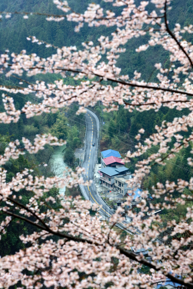 湖南，龙山，峡谷，云雾，山花，公路，村庄，小河