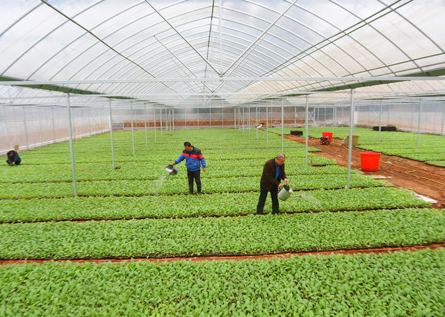 嘉禾：惊蛰时节农事忙