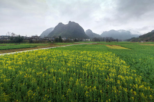湖南，龙山，春天，田野，美景