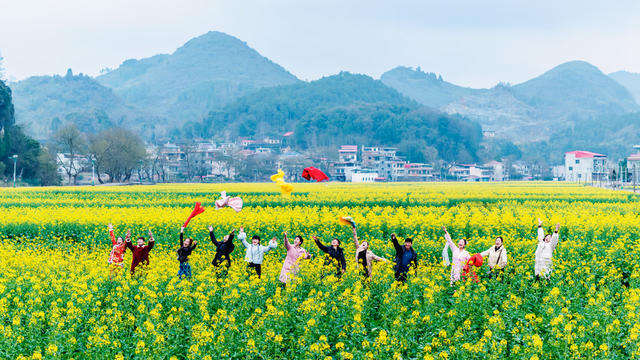 春天  田园  美景