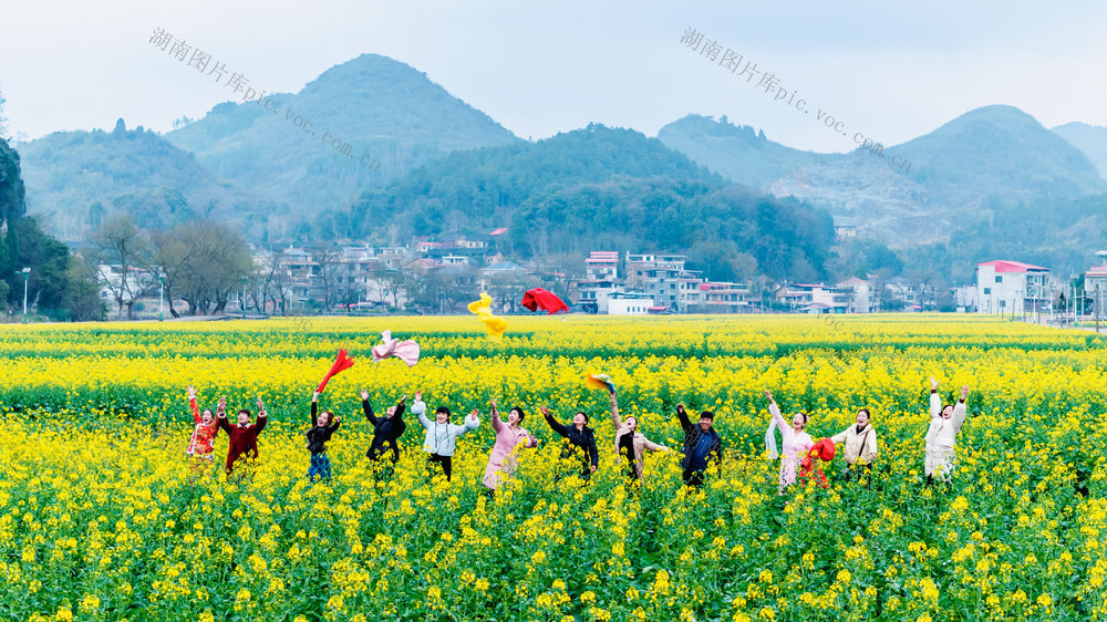 春天  田园  美景