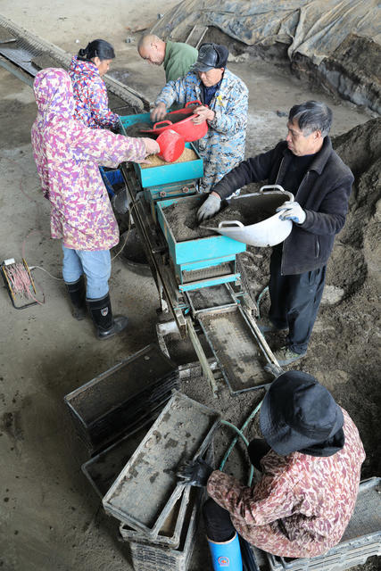 早稻 育秧 智能