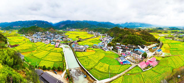 乡村  文旅  古村落  油菜花开  怀化中方