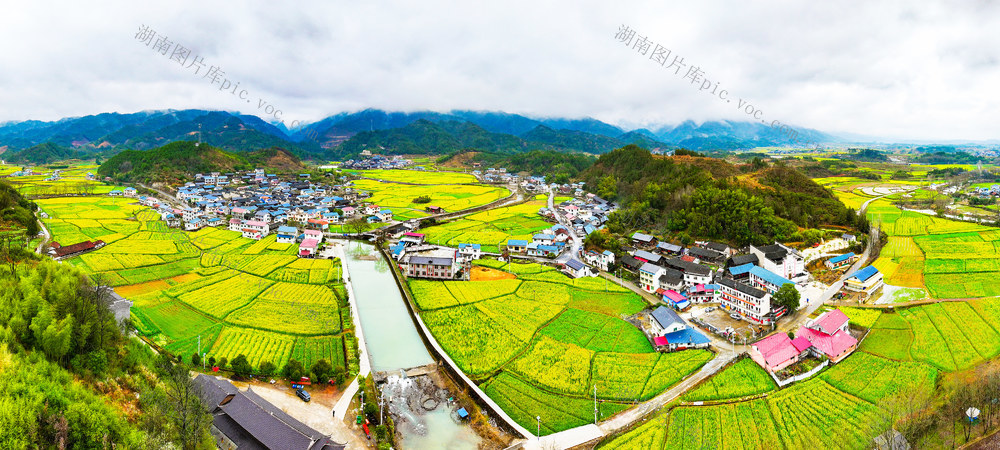乡村  文旅  古村落  油菜花开  怀化中方