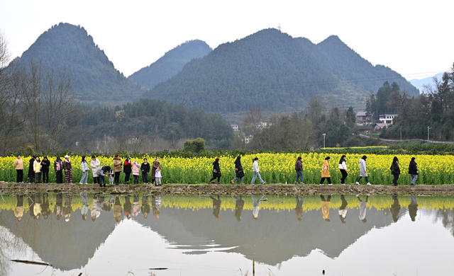三八妇女节　妇女　教师　乡村振兴　