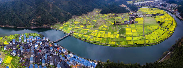 侗乡 油菜 花 村庄 绿水 青山 桥梁 相映 构成 春日 美景