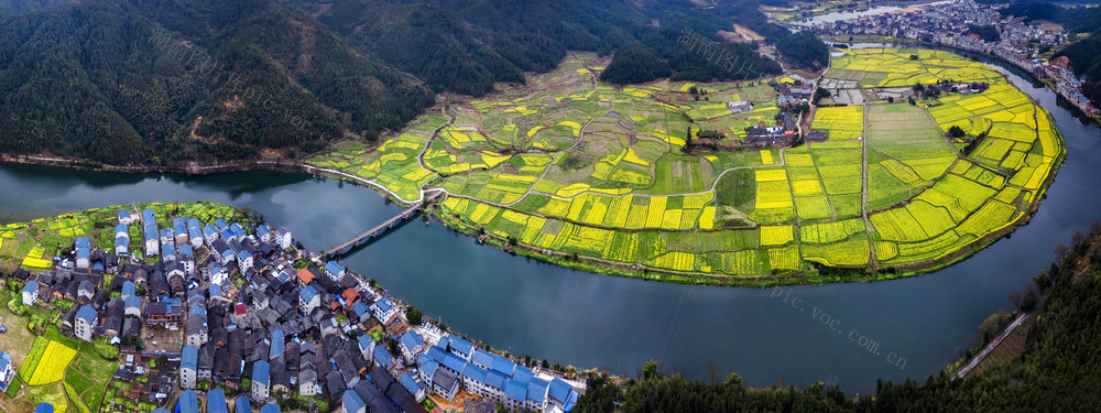 侗乡 油菜 花 村庄 绿水 青山 桥梁 相映 构成 春日 美景