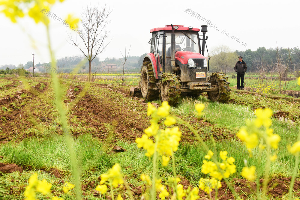 春耕生产  丘陵区  粮食作物  机械化 