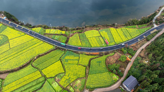 春天
油菜 
花海
公路
