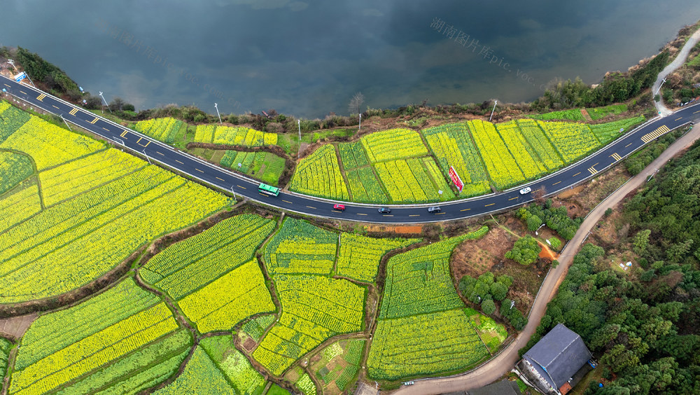 春天
油菜 
花海
公路
