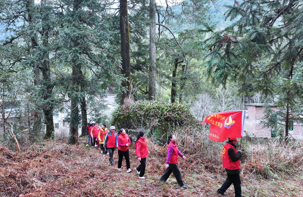 湖南桂东 志愿者 呵护绿水青山 三八节