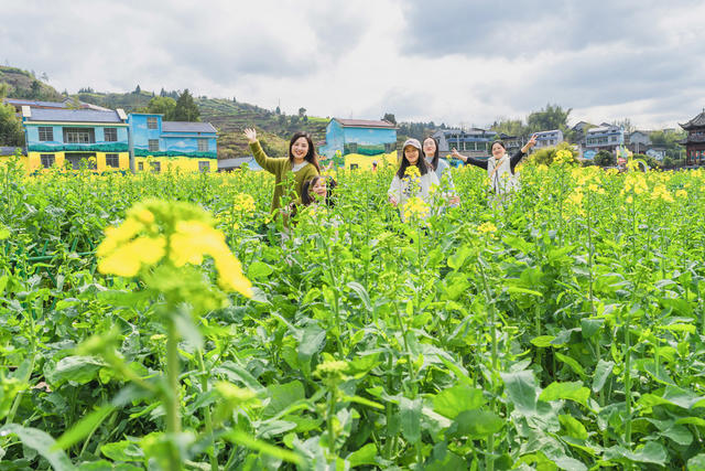 三八国际妇女节   花香伴春游   乡村游