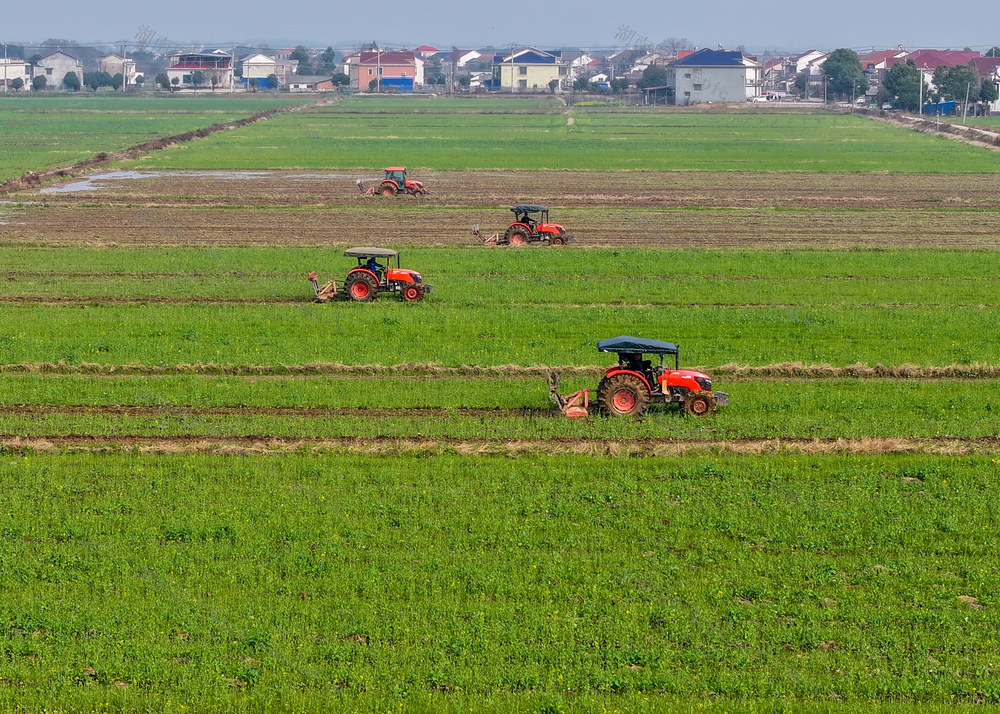 洞庭 春早 躬耕忙