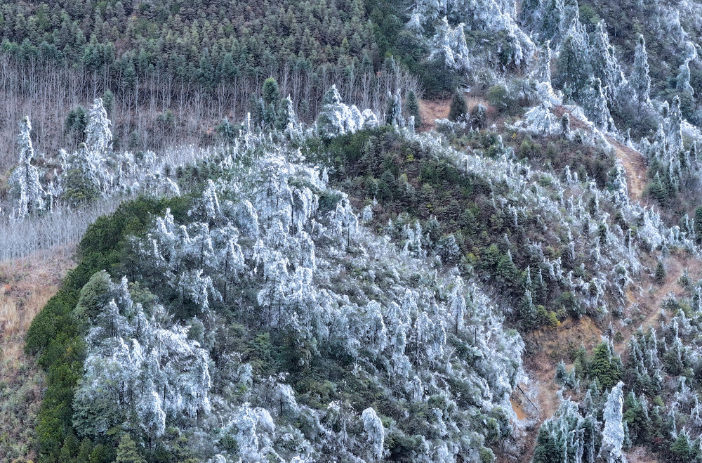 湖南桂东：雾凇美景  扮靓铁山