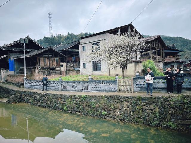 古村  新颜