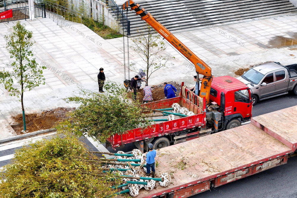 植树、春天、植树节、劳动、生态