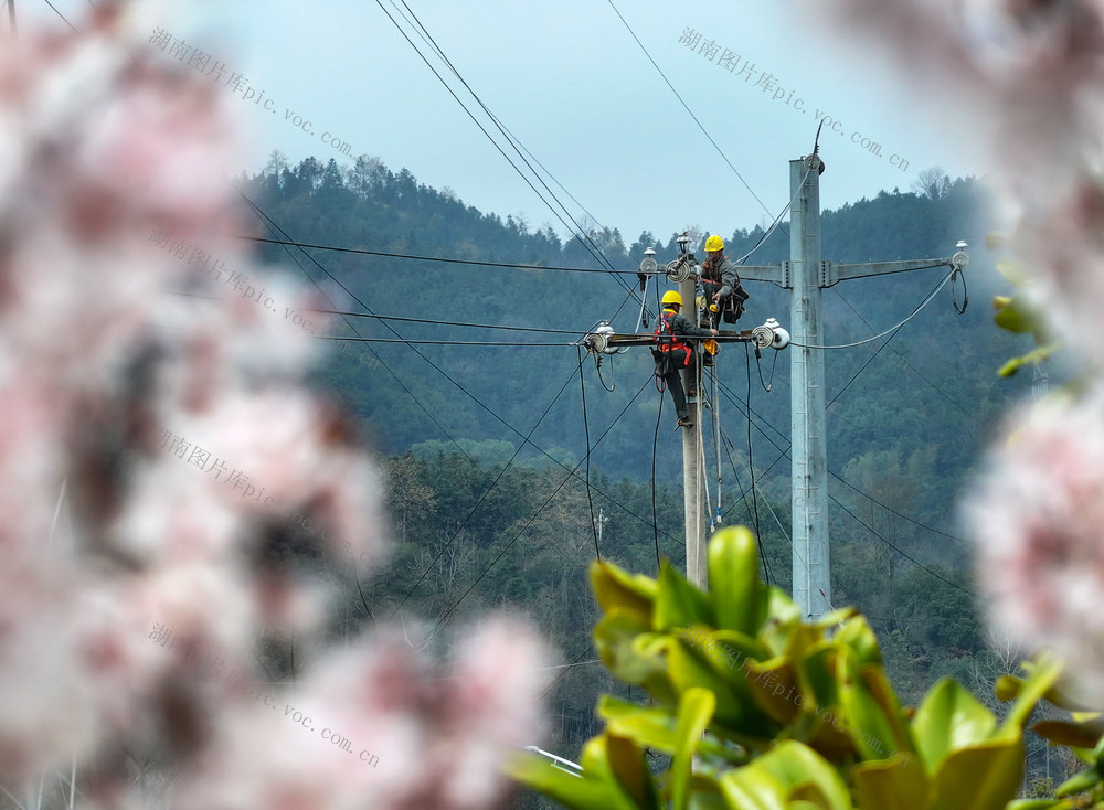 春季 电力 检修
